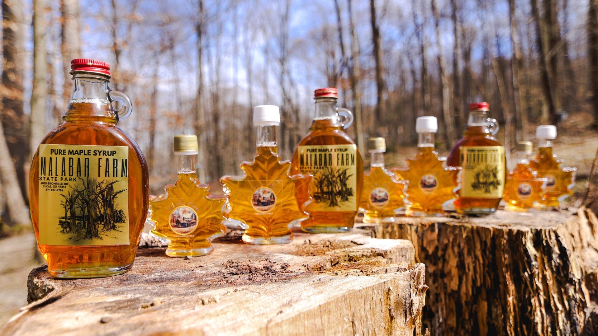 Four Ohio State Parks to host annual maple syrup festivals